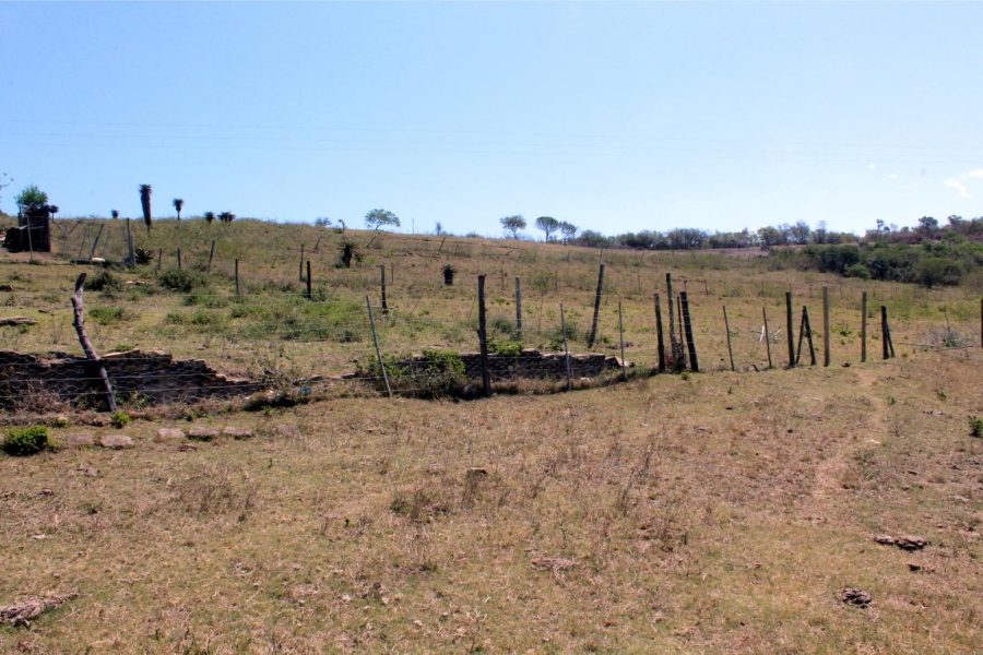 Commercial Property for Sale in Komga Rural Eastern Cape